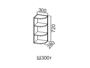 Ш300т/720 Шкаф навесной 300/720 (торцевой) в Кусе - kusa.магазин96.com | фото