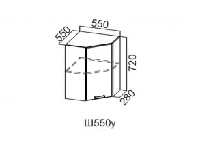 Ш550у/720 Шкаф навесной 550/720 (угловой) в Кусе - kusa.магазин96.com | фото