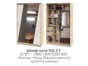 шкаф-купе ПШ-2.9 1500 Норд Белый жемчуг 1500 в Кусе - kusa.магазин96.com | фото