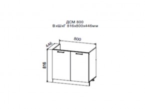 Шкаф нижний ДСМ800 под мойку в Кусе - kusa.магазин96.com | фото