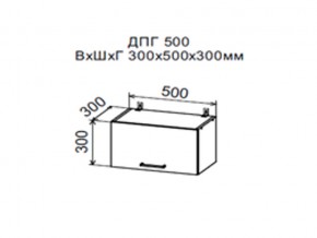Шкаф верхний ДПГ500 горизонтальный в Кусе - kusa.магазин96.com | фото