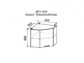 Шкаф верхний ДПУ600 угловой в Кусе - kusa.магазин96.com | фото